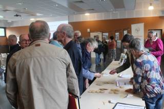 Cliquez pour agrandir